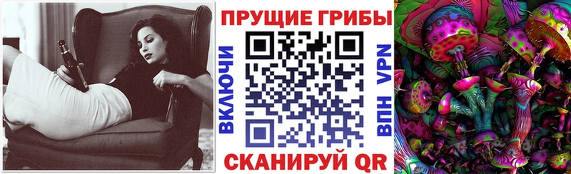 где можно купить наркотик  Калининск  Псилоцибиновые грибы мухоморы 